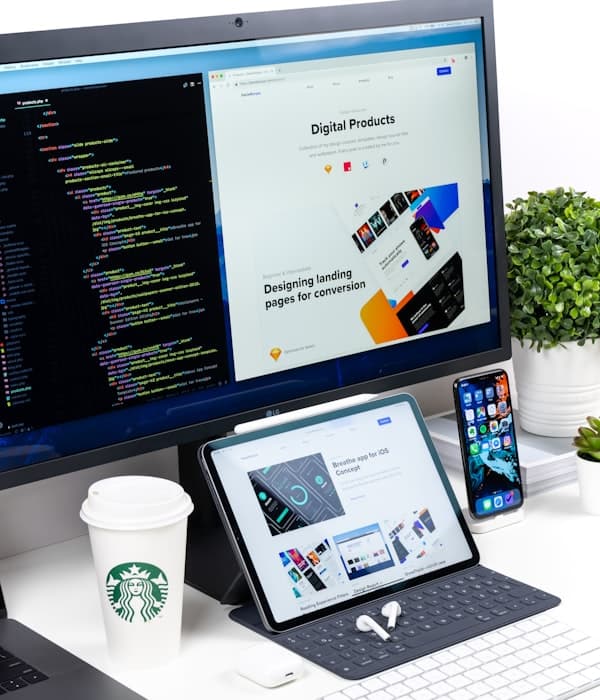 Website design project